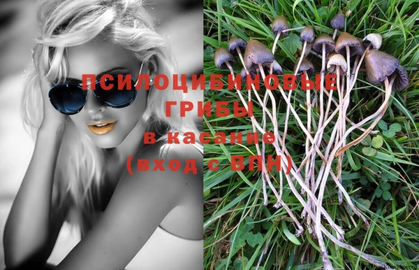 jwh Лиски