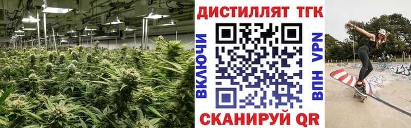 ТГК концентрат  Разумное 